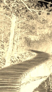 Sepia + Negatyw