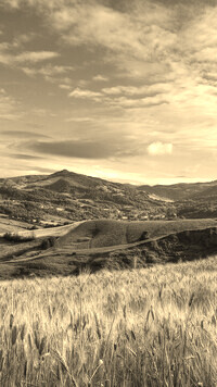 Sepia