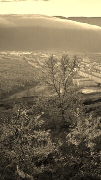 Szary + Sepia