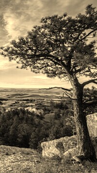 Sepia