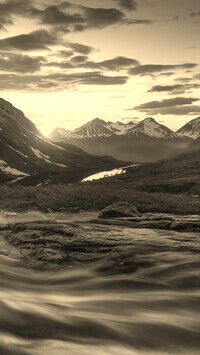 Sepia
