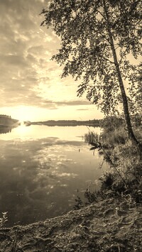 Sepia