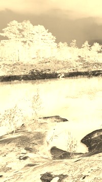 Sepia + Negatyw
