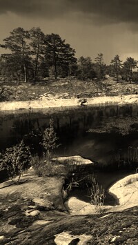 Sepia