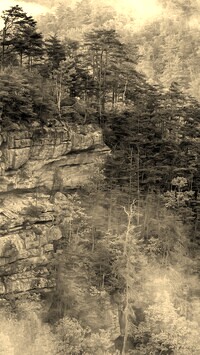 Szary + Sepia