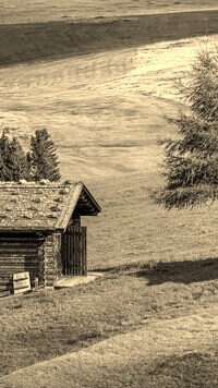 Szary + Sepia