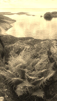 Sepia