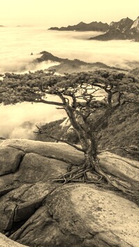 Szary + Sepia