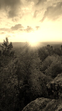 Sepia