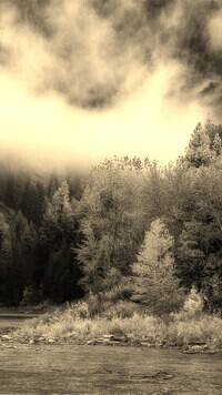 Sepia