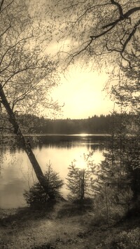 Szary + Sepia