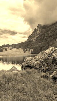 Szary + Sepia