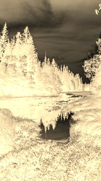 Sepia + Negatyw