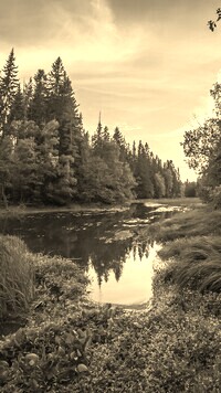 Sepia