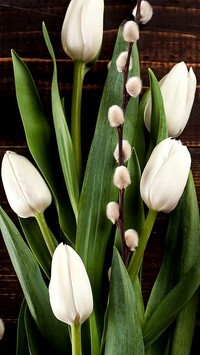 Oryginalny obrazek