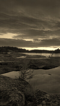 Sepia