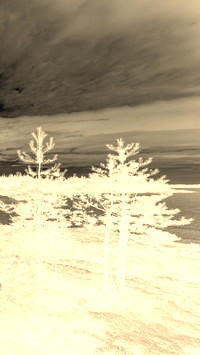 Sepia + Negatyw