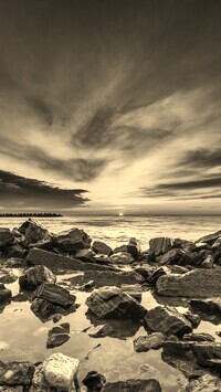 Szary + Sepia