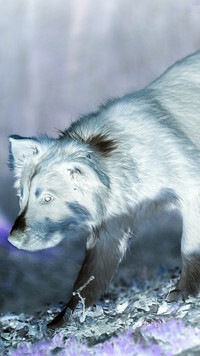 Negatyw