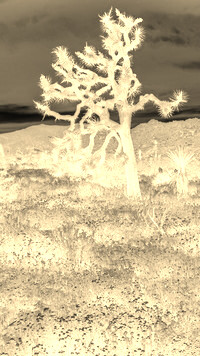 Sepia + Negatyw