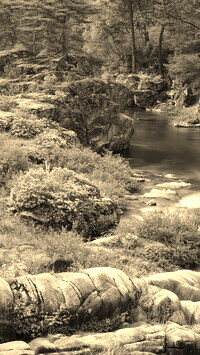 Sepia