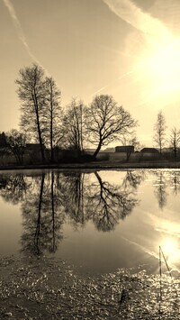 Szary + Sepia