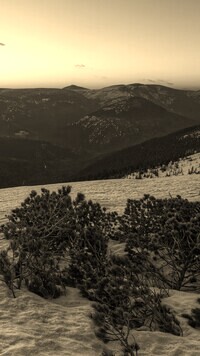 Szary + Sepia