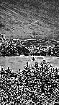 Skamielina