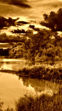 Sepia