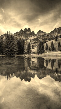 Szary + Sepia