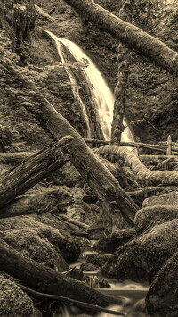 Szary + Sepia