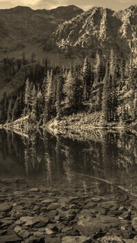 Szary + Sepia