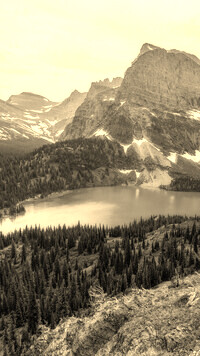 Sepia