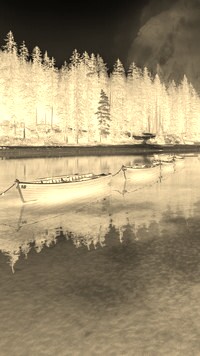 Sepia + Negatyw