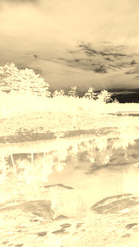 Sepia + Negatyw