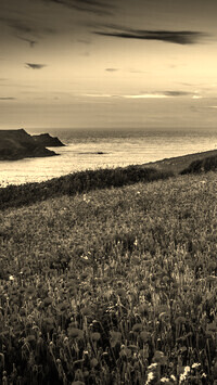 Sepia