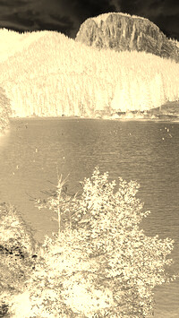 Sepia + Negatyw