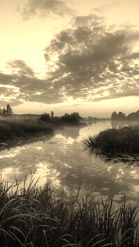 Szary + Sepia