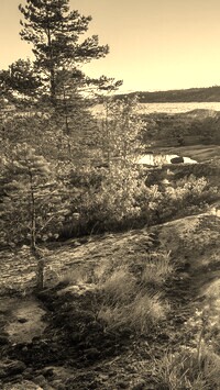 Szary + Sepia