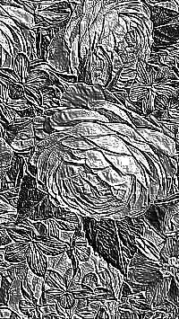 Skamielina