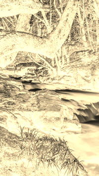 Sepia + Negatyw