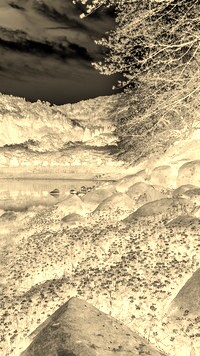 Sepia + Negatyw
