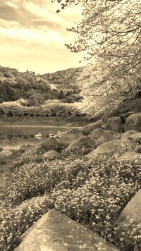 Szary + Sepia