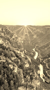 Sepia