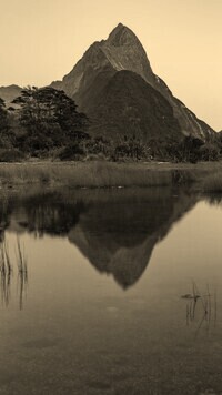 Szary + Sepia