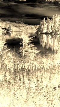 Sepia + Negatyw
