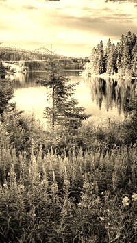 Szary + Sepia
