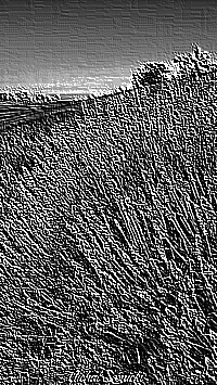 Skamielina