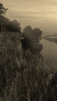 Szary + Sepia