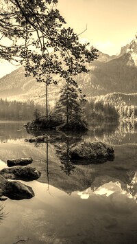 Szary + Sepia